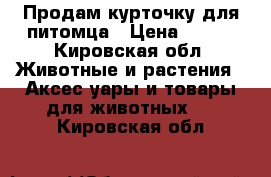 Продам курточку для питомца › Цена ­ 500 - Кировская обл. Животные и растения » Аксесcуары и товары для животных   . Кировская обл.